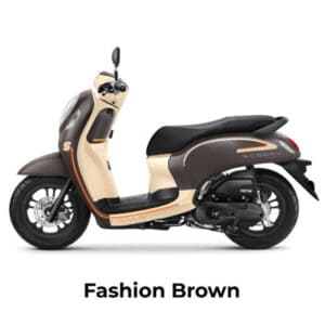 Fashion-Brown