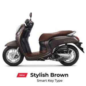 Stylish-Brown