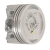 13105KWW740-PISTON-1.00-IMAGE
