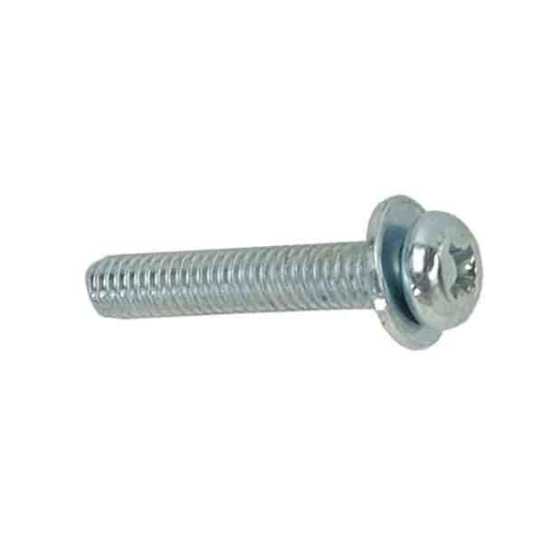 938910402200-SCREW-W-WASH-4X22-GAMBAR