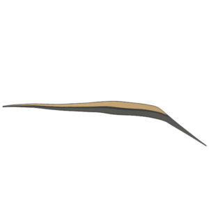 86836K45A50ZA-STRIPE-R-REAR-COWL-TYPE-1