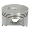 13105K81P00-PISTON-OS-1.00