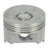 13102K48A00-PISTON-0.25