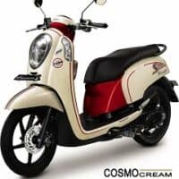 Honda scoopy