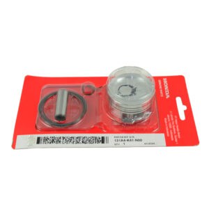 131A4K41N00-PISTON-KIT-0.75
