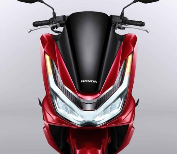 Garnish-Headlight-scaled