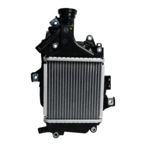 19100K1ZNA0-RADIATOR-ASSY