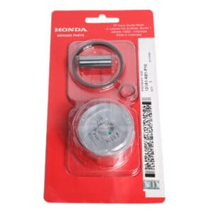 131A1K81P10-PISTON-STD-IMAGE