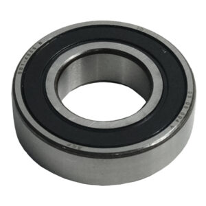 91009K1AN81-BRG-BALL-RADIAL-6022