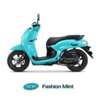 Fashion Mint