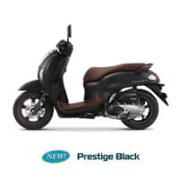 Prestige Black