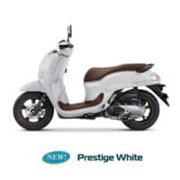 Prestige White