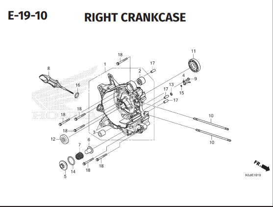 E-19-10 Right Crankcase – Honda Genio K0JB