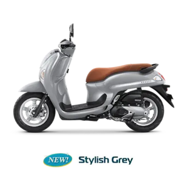 honda-scoopy-stylish-grey