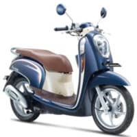 Cara Mencari Tahu Tipe dan Tahun Honda Scoopy