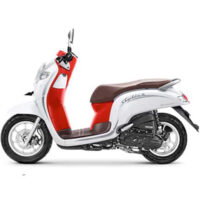 Cara Mencari Tahu Tipe dan Tahun Honda Scoopy