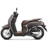 Cara Mencari Tahu Tipe dan Tahun Honda Scoopy