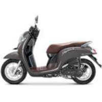 Cara Mencari Tahu Tipe dan Tahun Honda Scoopy