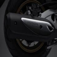 Garnish Muffler 1