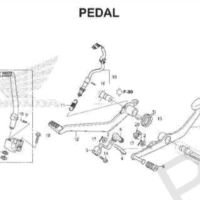 F-29 Pedal – Katalog Honda Supra GTR 150 K56W Screenshot 2026-03-16 092929