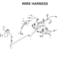 F-41 Wire Harness – Katalog Honda BeAT POP K61H F-41 Wire Harness – Katalog Honda BeAT POP K61H