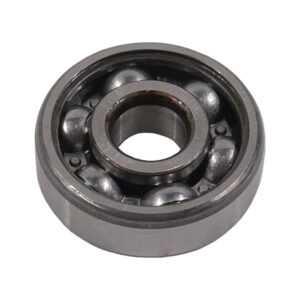 91005K1AN81-BRG-BALL-RADIAL-6301