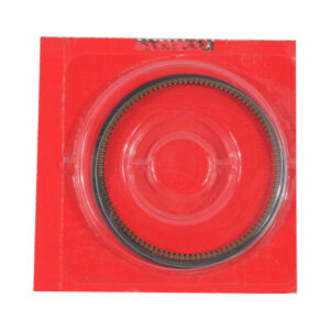13041K15305-CINCIN-PISTON-0.75