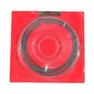 13051K15305-CINCIN-PISTON-1.00