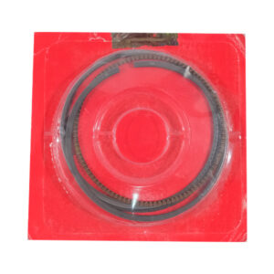 13051K15305-CINCIN-PISTON-1.00