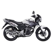 Honda Tiger Loyal White