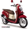 New-Honda-Scoopy-FI-Hadir-Dengan-2-Pilihan-Tema-Striping