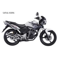 Honda Tiger Loyal White